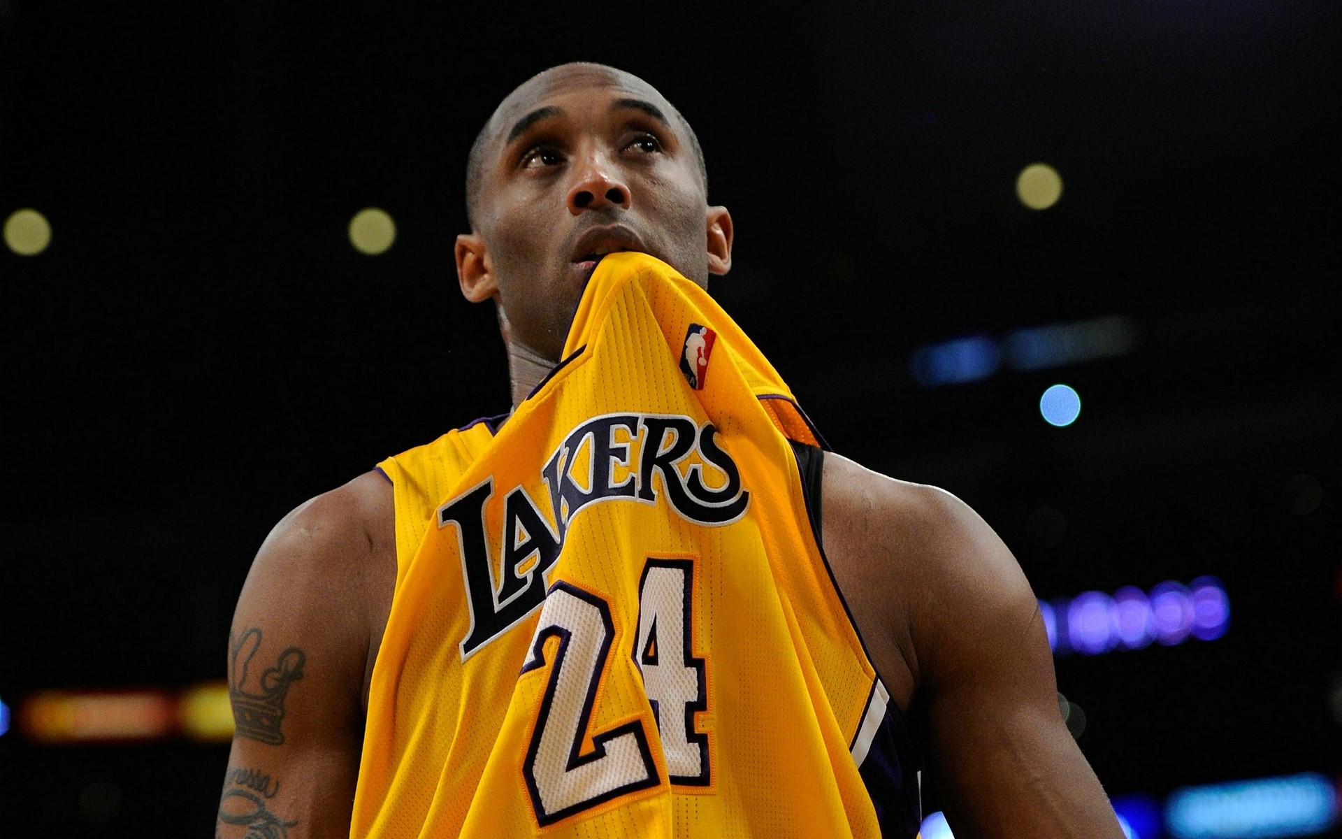 的稳定表现 的稳定表现