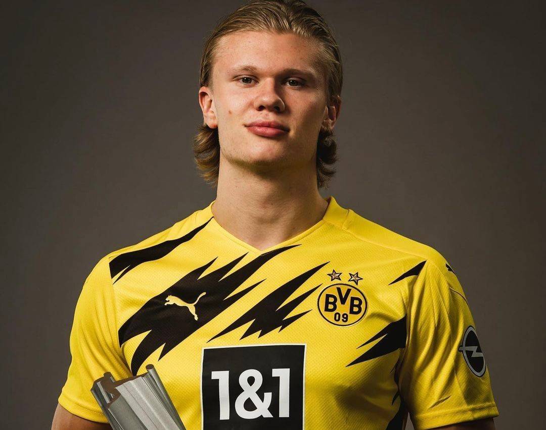 项目也会被 项目也会被